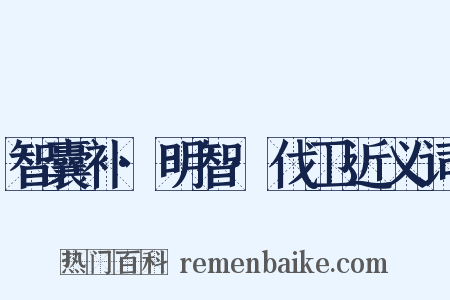 智囊补·明智·伐卫近义词是什么意思的图片